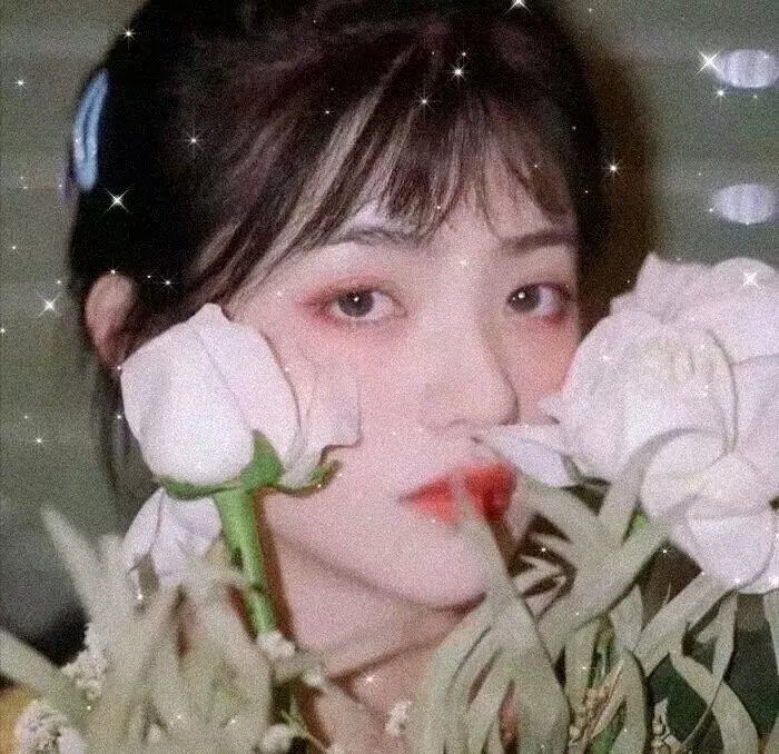 太阳溪农场的丽贝卡